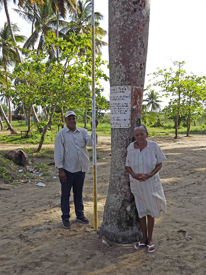 Claudio Martinez from the Dominican Republic’s Oficina Nacional de Meteorologia in Matancitas with local resident Patria, right, who took Martinez and Georgia Tech’s Hermann Fritz back to the site of a 1946 tsunami in the area. Patria remembered how high waters had reached at this palm tree, helping the team reconstruct the tsunami’s impacts more than seven decades after it happened. (Photo Courtesy: Hermann Fritz)