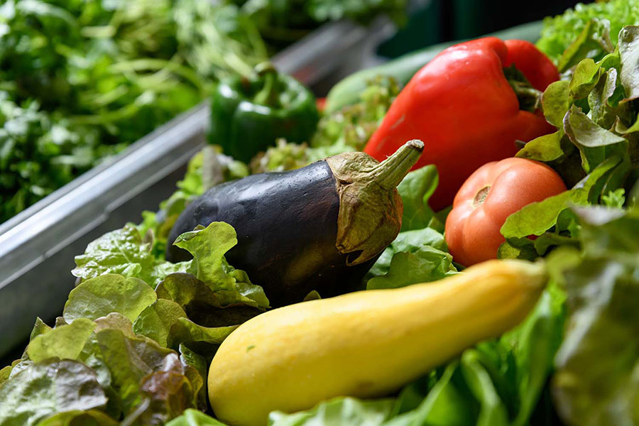 A pilot project funded by the U.S. Department of Agriculture will use wastewater nutrients to grow produce on Georgia Tech’s campus to test a model for decentralizing production of vegetables such as these.