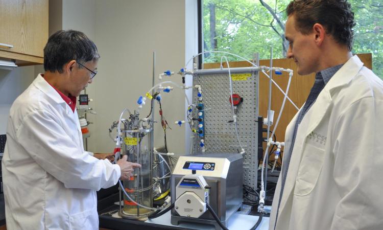 Two researchers in a lab