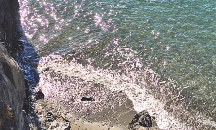 Light reflecting off of an ocean shore line