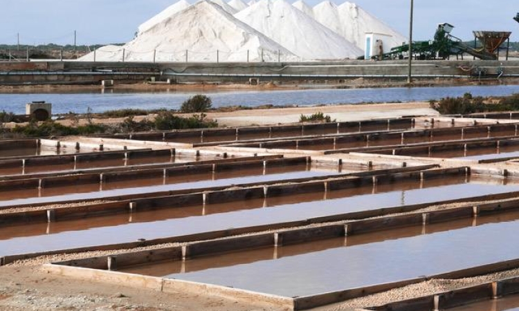 A photo of the salter site in Spain where the research was done.