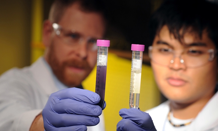 The global amount of recoverable fecal waste harbors risks, such as water contamination, but also opportunities to harvest natural resources. A new study from Carlton S. Wilder Assistant Professor Joe Brown, left, and others at Georgia Tech has determined just how much of that recoverable biomass exists. Here, Brown is pictured with former student Andrew Loo. (Photo: Gary Meek)