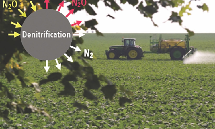 Microbes in soil can break down nitrous oxide, N2O, into harmless nitrogen, N2, but they don't always do a good job, according to Professor Kostas Konstantinidis. He has a new grant from the National Science Foundation to understand why. The problem is that the nitrous oxide is a powerful and damaging greenhouse gas. The study will focus on agricultural land, where nitrogen is often added to soil as fertilizer, and tropical forests. (Image Courtesy: Kostas Konstantinidis)