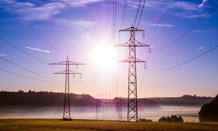 Power poles stretch into a bright sun with mist hovering just above the ground.