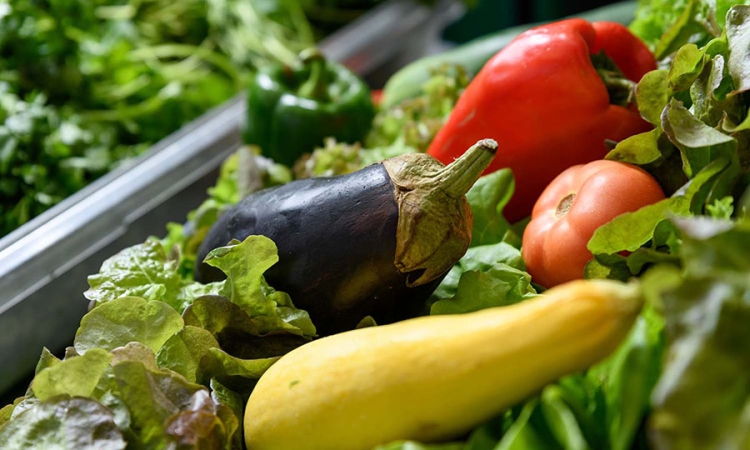 A pilot project funded by the U.S. Department of Agriculture will use wastewater nutrients to grow produce on Georgia Tech’s campus to test a model for decentralizing production of vegetables such as these.