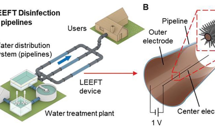 An illustration depicts how the device would inactivate pathogens in drinking water using an electic field