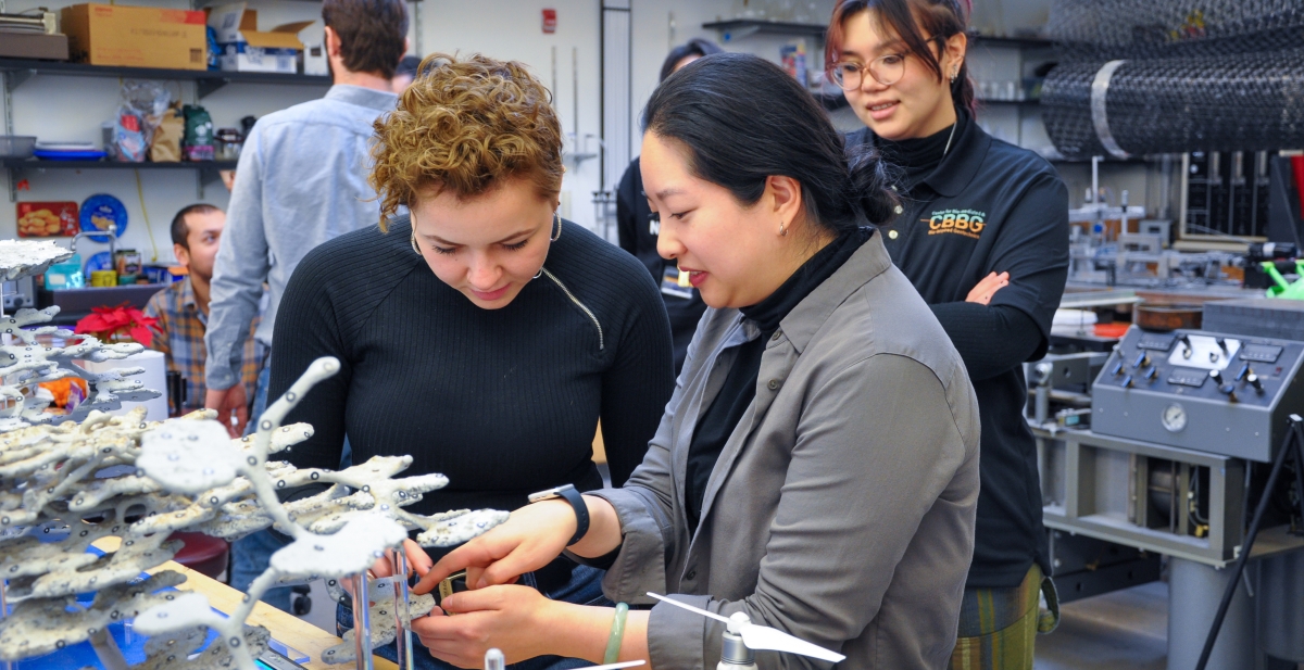 People look at small structures in a lab